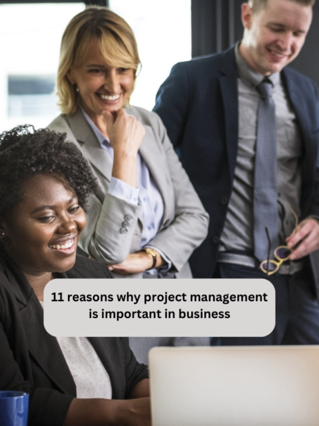 Reasons Why Project Management Is Important In Business