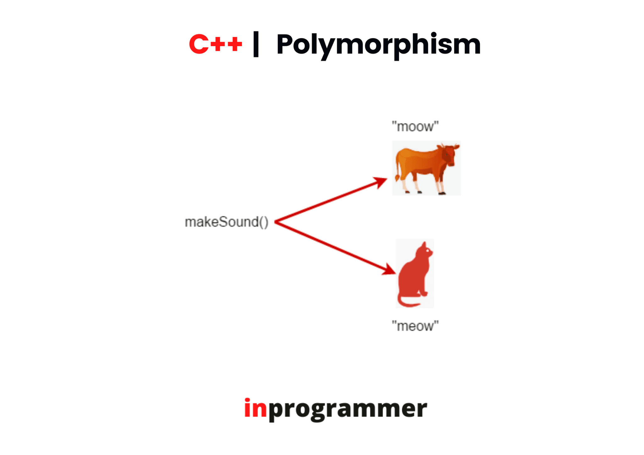 POLYMORPHISM IN C++