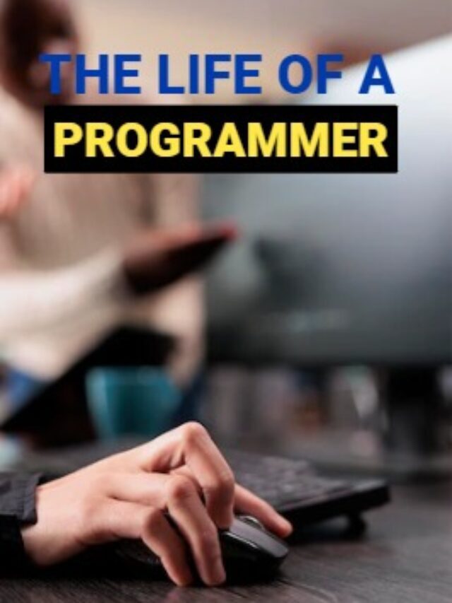 THE LIFE OF A PROGRAMMER